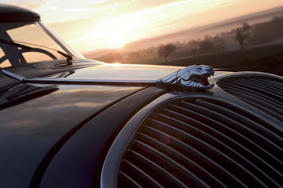  Peugeot 402 N4X 1937 года  (фото 6 из 6)